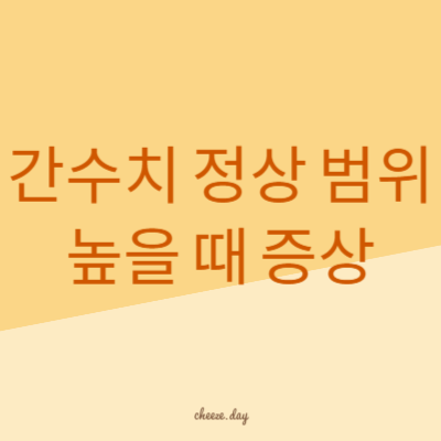 간수치 정상 범위