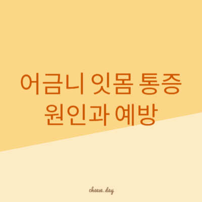 어금니 잇몸 통증