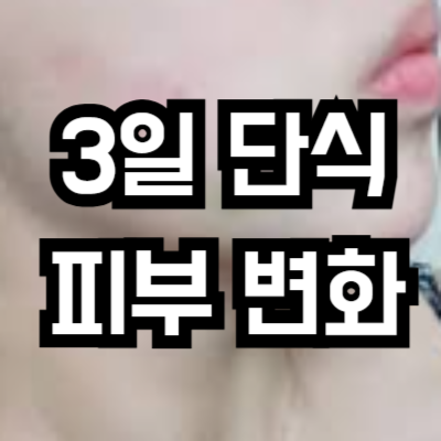 3일 단식 피부