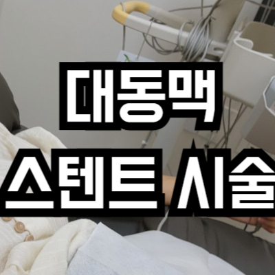 대동맥 스텐트 시술 비용