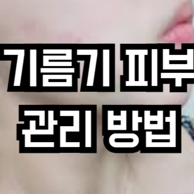 기름기 많은 피부 관리
