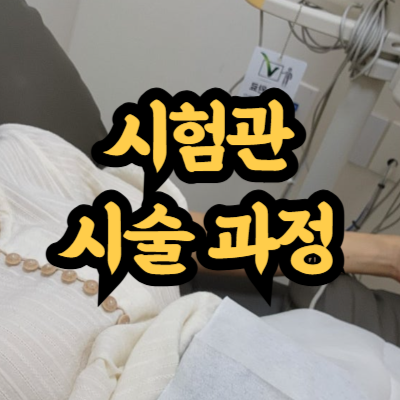 시험관 시술 과정