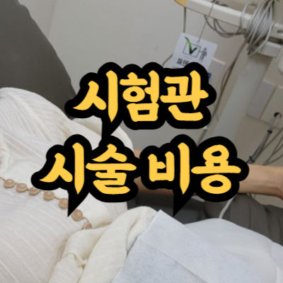 시험관 시술 비용